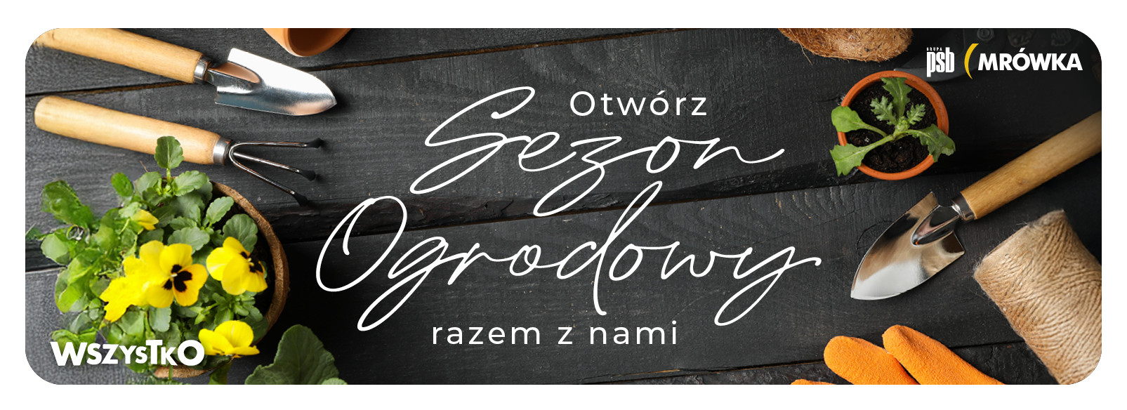 Grupa PSB mrowka Mrówka Sulejów